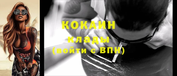 винт Каменка