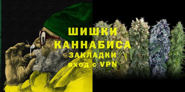 винт Каменка