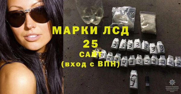 винт Каменка