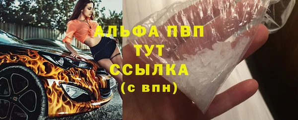 винт Каменка