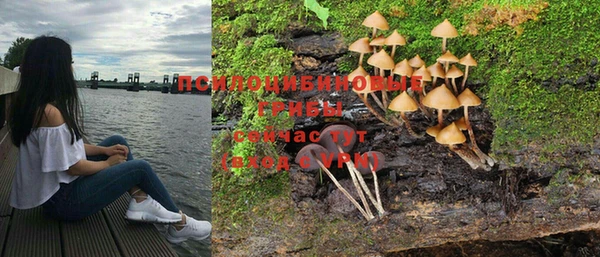 MDMA Premium VHQ Каменногорск