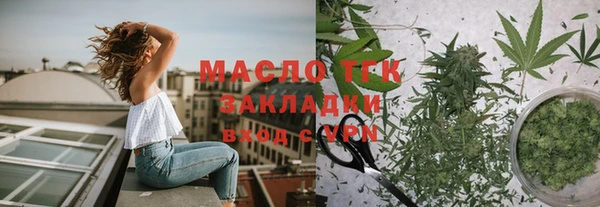 винт Каменка