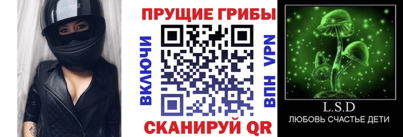 ОМГ ОМГ зеркало  Бердск  Псилоцибиновые грибы Cubensis  купить наркоту 