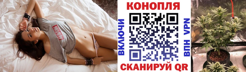 Каннабис Bruce Banner  дарнет шоп  Бердск 